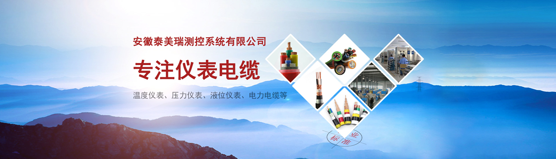 泰美瑞測(cè)控